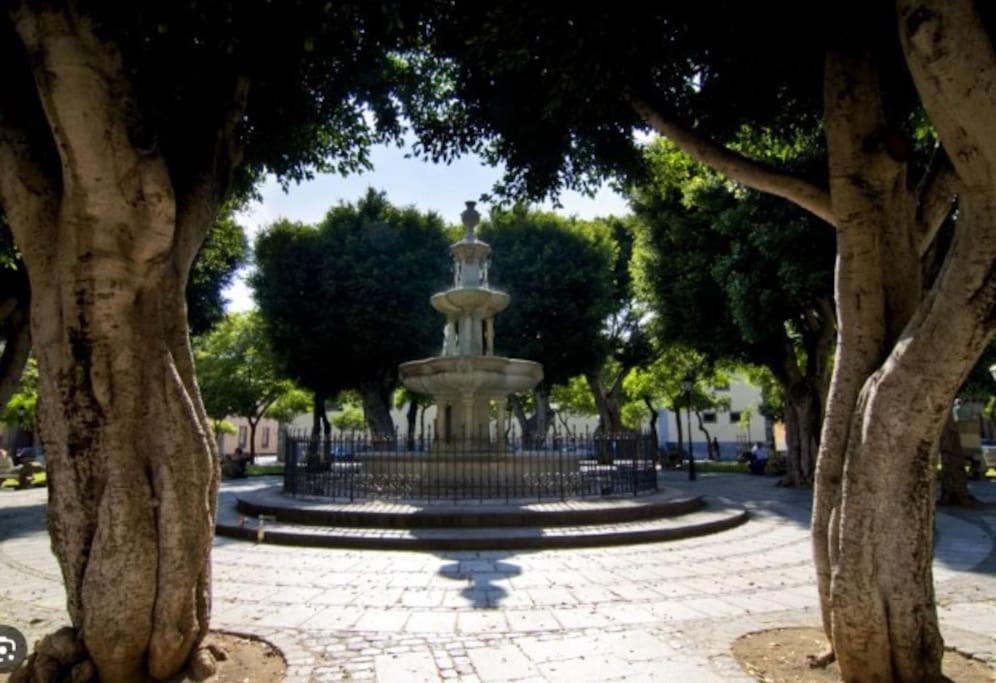 4 La Laguna, Centrico Y Acogedor